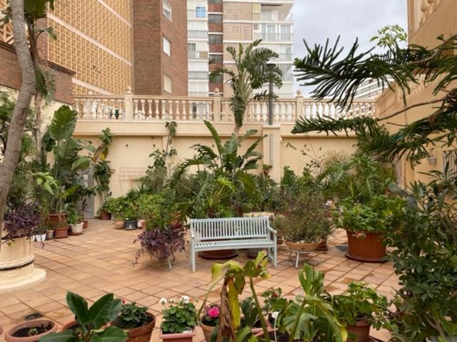 Precioso Apartamento A Estrenar En Primera Linea De Playa Бенидорм Екстериор снимка
